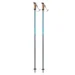 Горнолыжные палки Elan SpeedRod