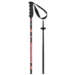 Горнолыжные палки Elan SpeedRod