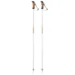 Горнолыжные палки Elan SpeedRod