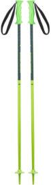 Bețe schi Elan Hot Rod JR green