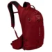 Рюкзак Osprey Raptor 10 II