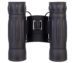Бинокль Levenhuk Atom 10 x 25