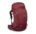 berry sorbet red