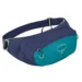 Поясная сумка Osprey Daylite Waist
