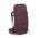elderberry purple