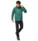 Толстовка Ternua Fox Point Hoody Mns posy green