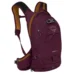 Рюкзак Osprey Raptor 14 aprium purple