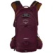 Рюкзак Osprey Raptor 14 aprium purple