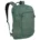 pine leaf green