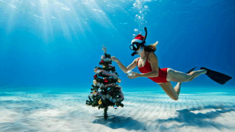 Лето круглый год: зимние скидки на летние приключения!