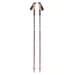 Треккинговые палки Black Diamond Pursuit Carbon FLZ octane