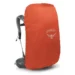 Рюкзак Osprey Sirrus 36