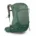 pine leaf green