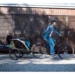 Велоприцеп Thule Courier Vintage Green