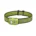 chartreuse
