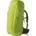 yellow-green